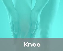 Information about Knee